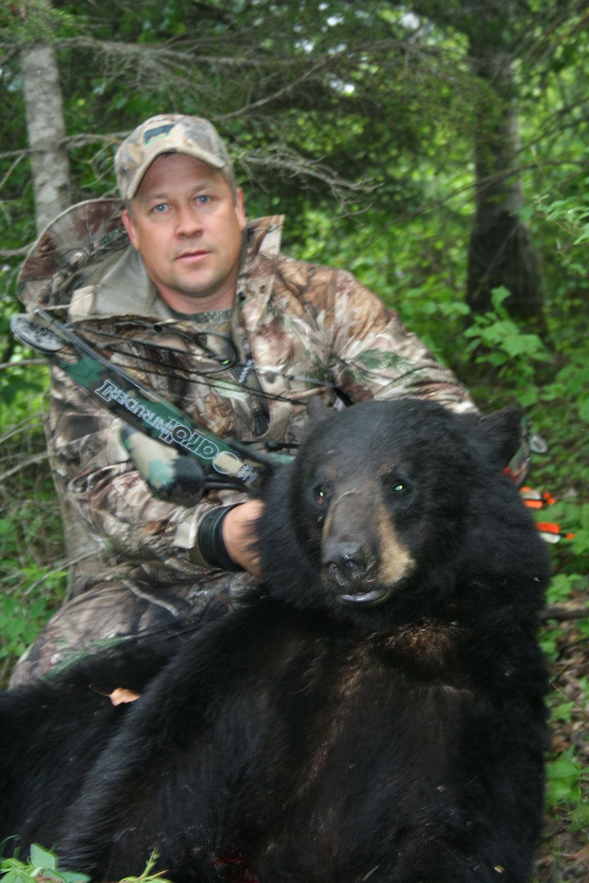 ssl bear hunts 3 20130901 2008258768