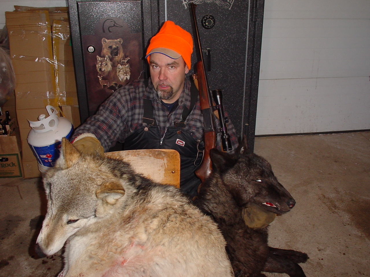 wolf hunts 1 20130901 1641215685